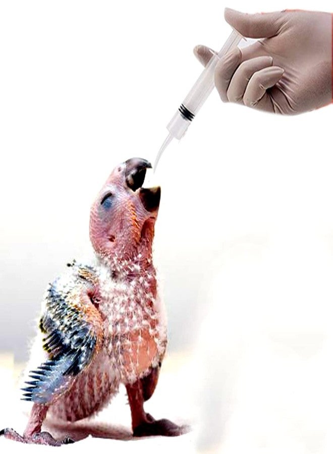 One Top Hand Feeding Syringe with Curve Tip for Baby Birds,Cat,Hamster,Puppy,Kitten,Dog, (12 ml) Tube Bird Feeder - Image 4